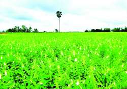 ဆောင်းပါး