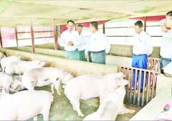 ဆောင်းပါး