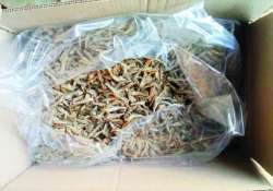 ဒွါရာဝတီ ငပလီကမ်းခြေဒေသမှ MSME ငါးနီတူပြုတ်ခြောက်လုပ်ငန်းကို လေ့လာခြင်း