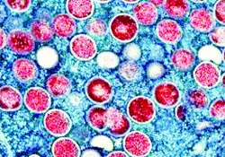 ဆောင်းပါး