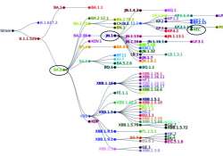 ဆောင်းပါး