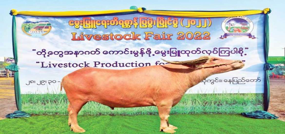 တို့အနာဂတ် ကောင်းမွန်ဖို့ မွေးမြူထုတ်လုပ်ကြပါစို့