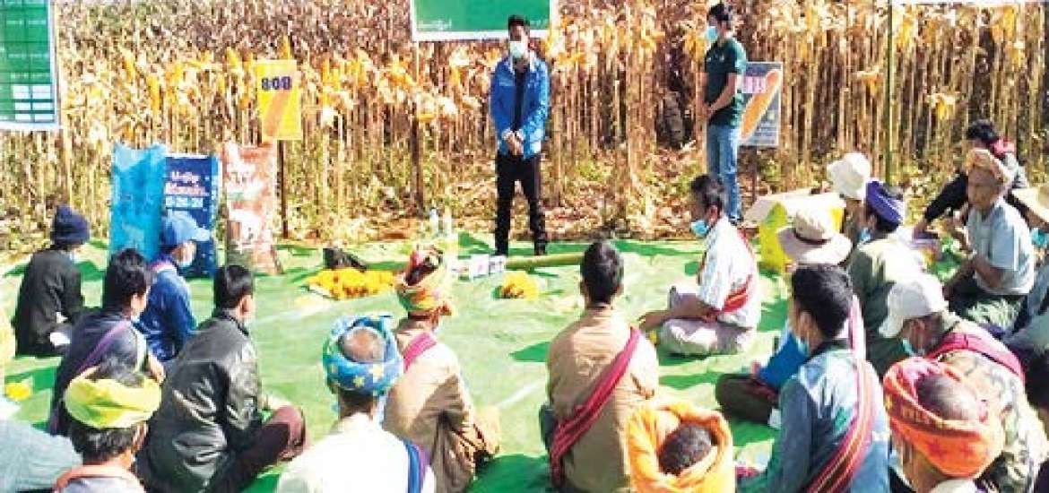 အပြည်ပြည်ဆိုင်ရာမူးယစ်ဆေးဝါးအလွဲသုံးမှုနှင့် တရားမဝင်ရောင်းဝယ်မှု တိုက်ဖျက်ရေးနေ့ ဂုဏ်ပြုဆောင်းပါး