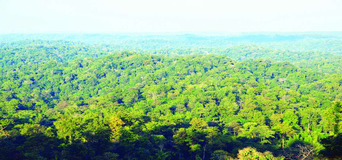 သဘာဝဘေးအန္တရာယ်များ တားဆီးကာကွယ်ရေးနှင့် သဘာဝကိုအခြေခံသော ဖြေရှင်းခြင်းနည်းလမ်းများ (Nature-based Solutions-Nbs) ၏ အခန်းကဏ္ဍ