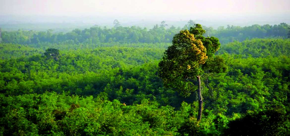 ဆောင်းပါး