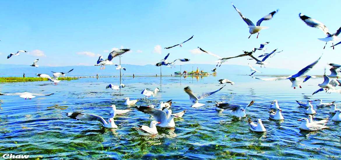 ဆောင်းပါး