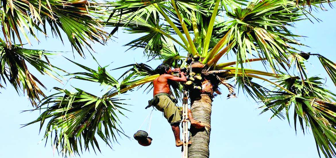 ဆောင်းပါး