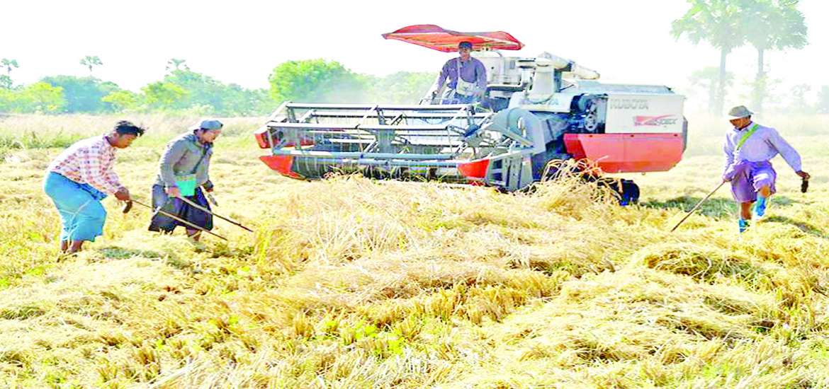 ဆောင်းပါး