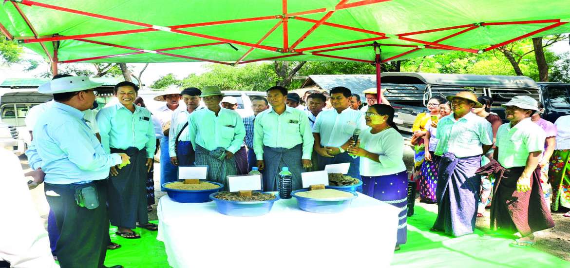 ဆောင်းပါး