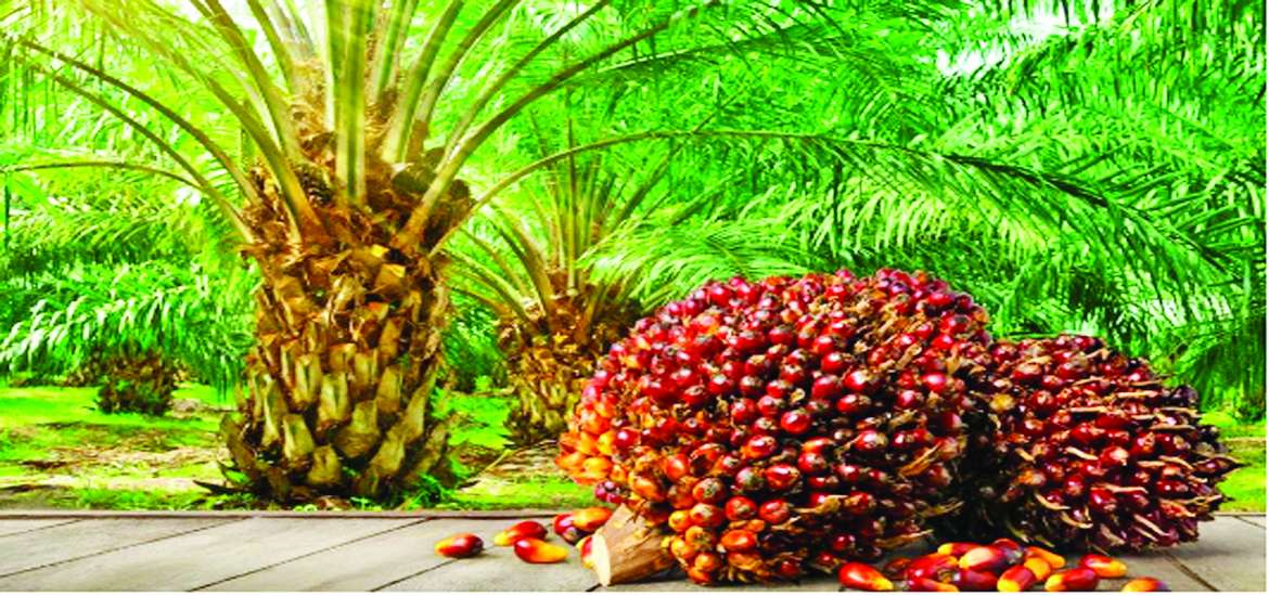 ဆောင်းပါး