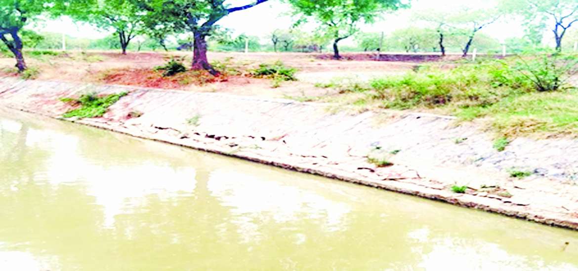 ငလျင်ဒဏ်ကြောင့် ငါးလုပ်ငန်းမွေးမြူရေးနှင့် ထုတ်လုပ်ရေးအပေါ် အကျိုးသက်ရောက်မှု