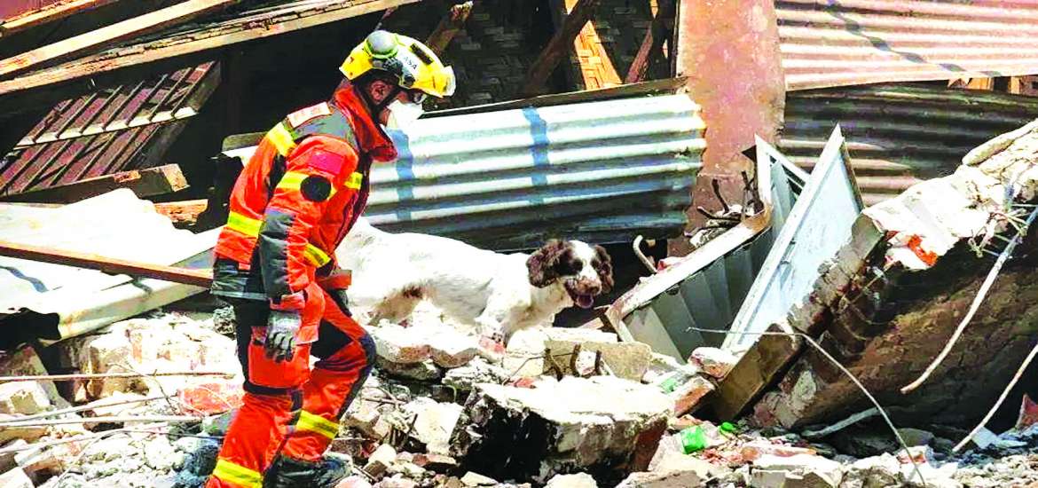 ဆောင်းပါး