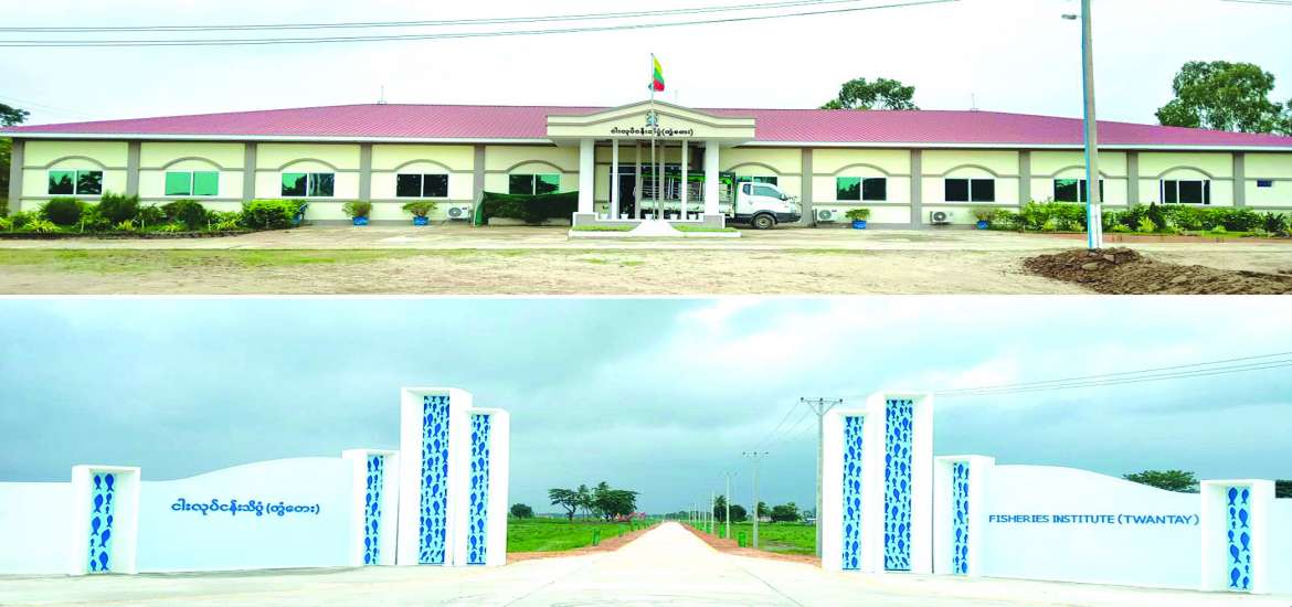 ငါးလုပ်ငန်းသိပ္ပံ(တွံတေး)ကျောင်းတော်ကြီးက ကြိုဆိုပါ၏